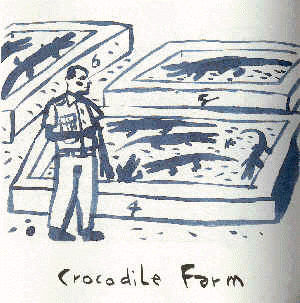 crocodil2.gif